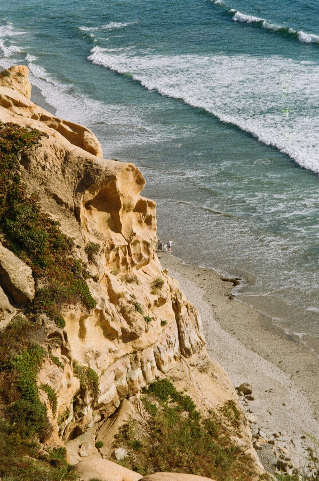 Torrey Pines, California - June, 2024