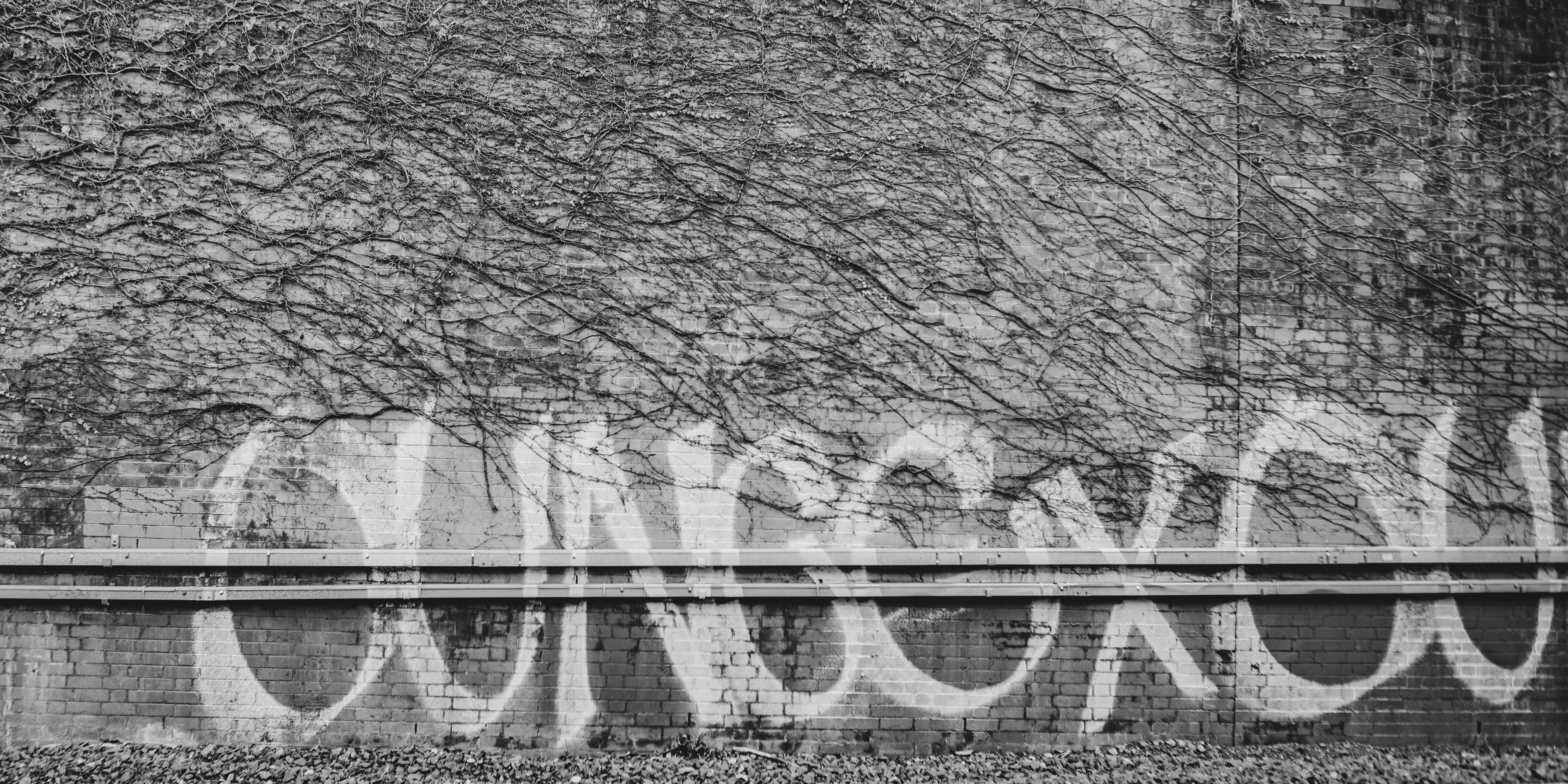 Denistone