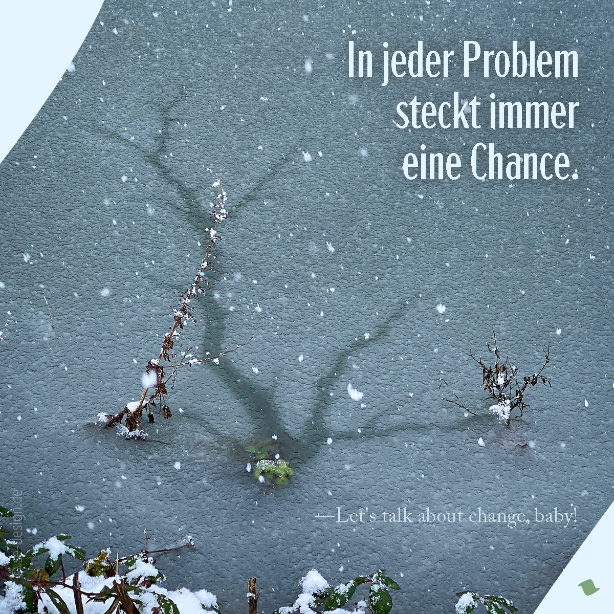 In jeder Problem steckt immer eine Chance.
