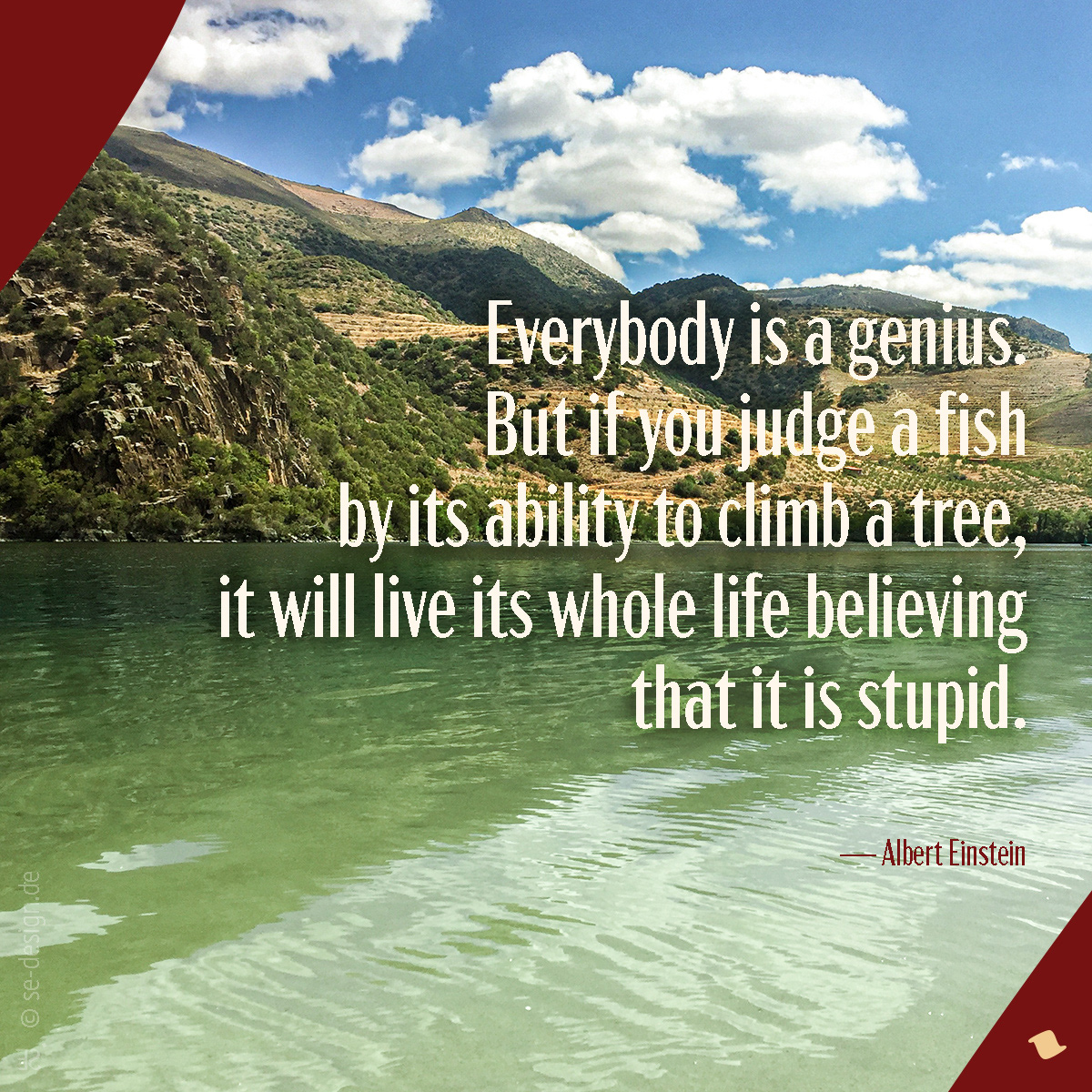 Jeder ist ein Genie! Aber wenn Du einen Fisch danach beurteilst, ob er auf einen Baum klettern kann, wird er sein ganzes Leben glauben, dass er dumm ist. -Albert Einstein