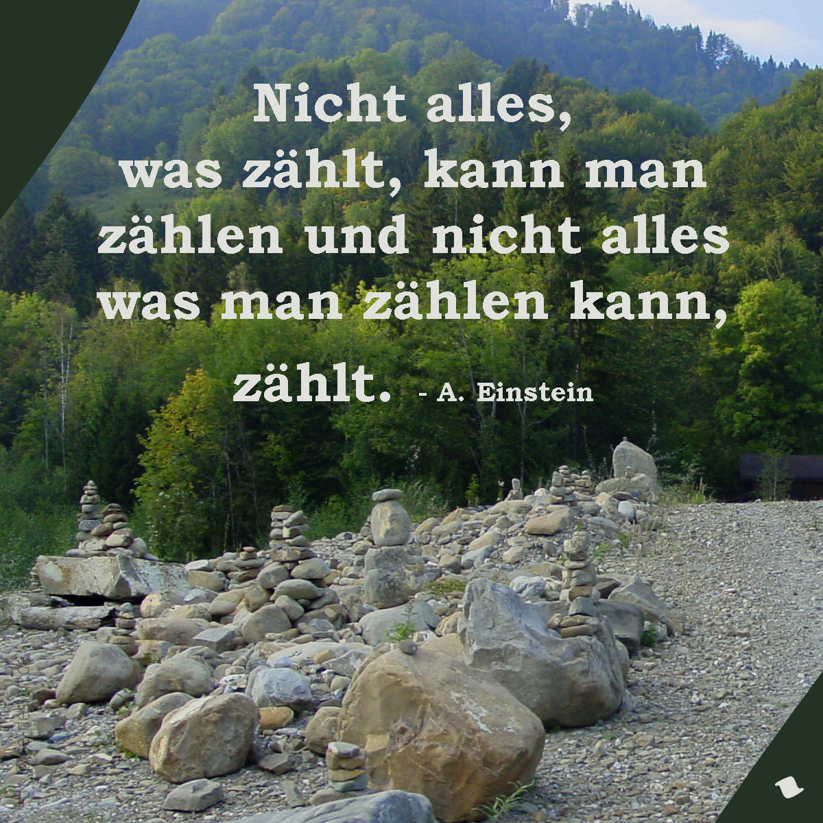 Nicht alles, was zählt, kann man zählen und nicht alles was man zählen kann, zählt. -Albert Einstein