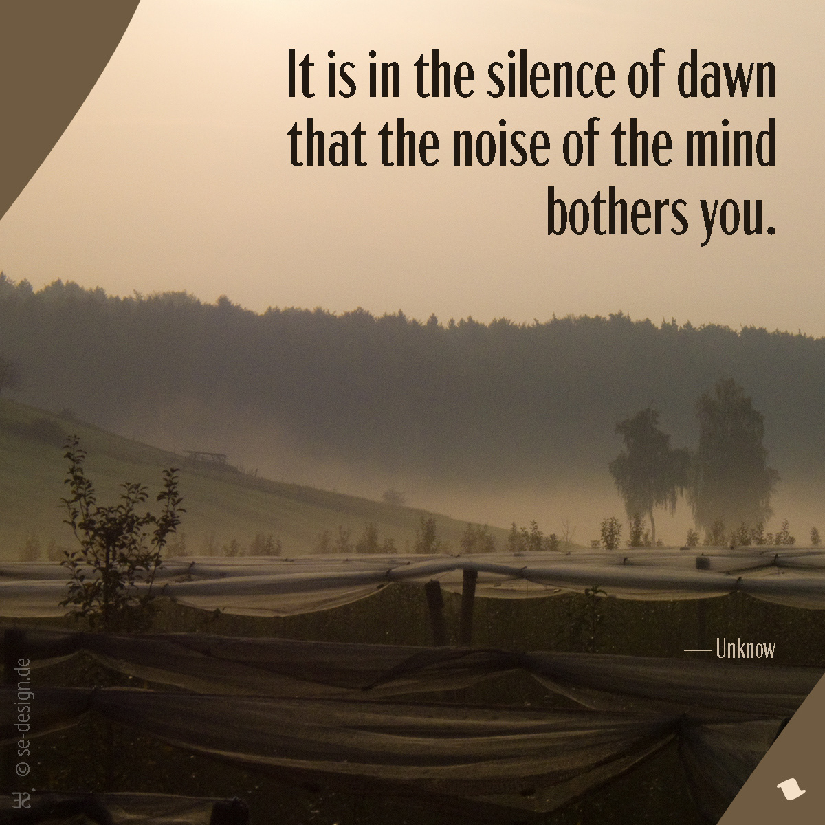 In der Stille der Morgendämmerung stört dich der Lärm des Geistes. -Unknow