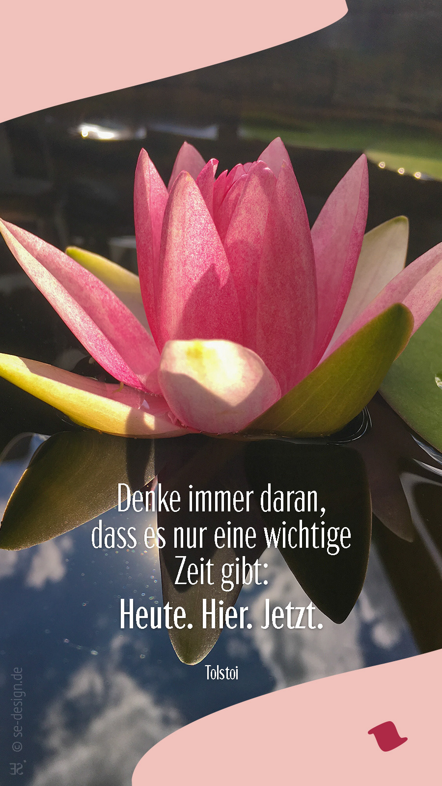 Denke immer daran, dass es nur eine wichtige Zeit gibt: Heute. Hier. Jetzt. -Lew N. Tolstoi
