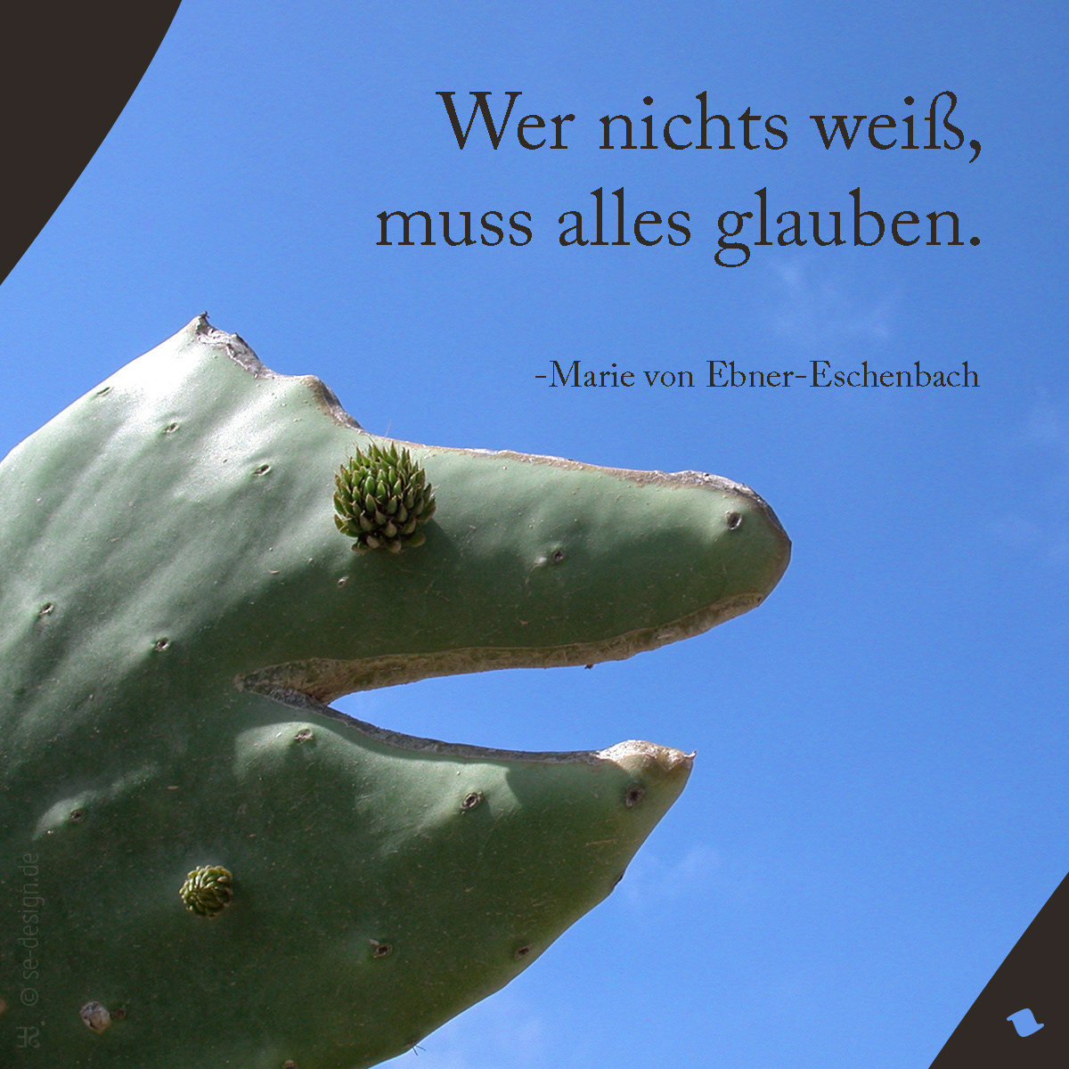 Wer nichts weiß, muss alles glauben. -Marie von Ebner-Eschenbach