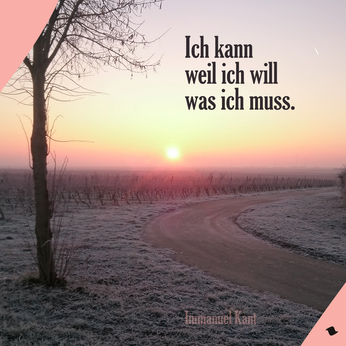 Ich kann weil ich will was ich muss. -Karl Valentin