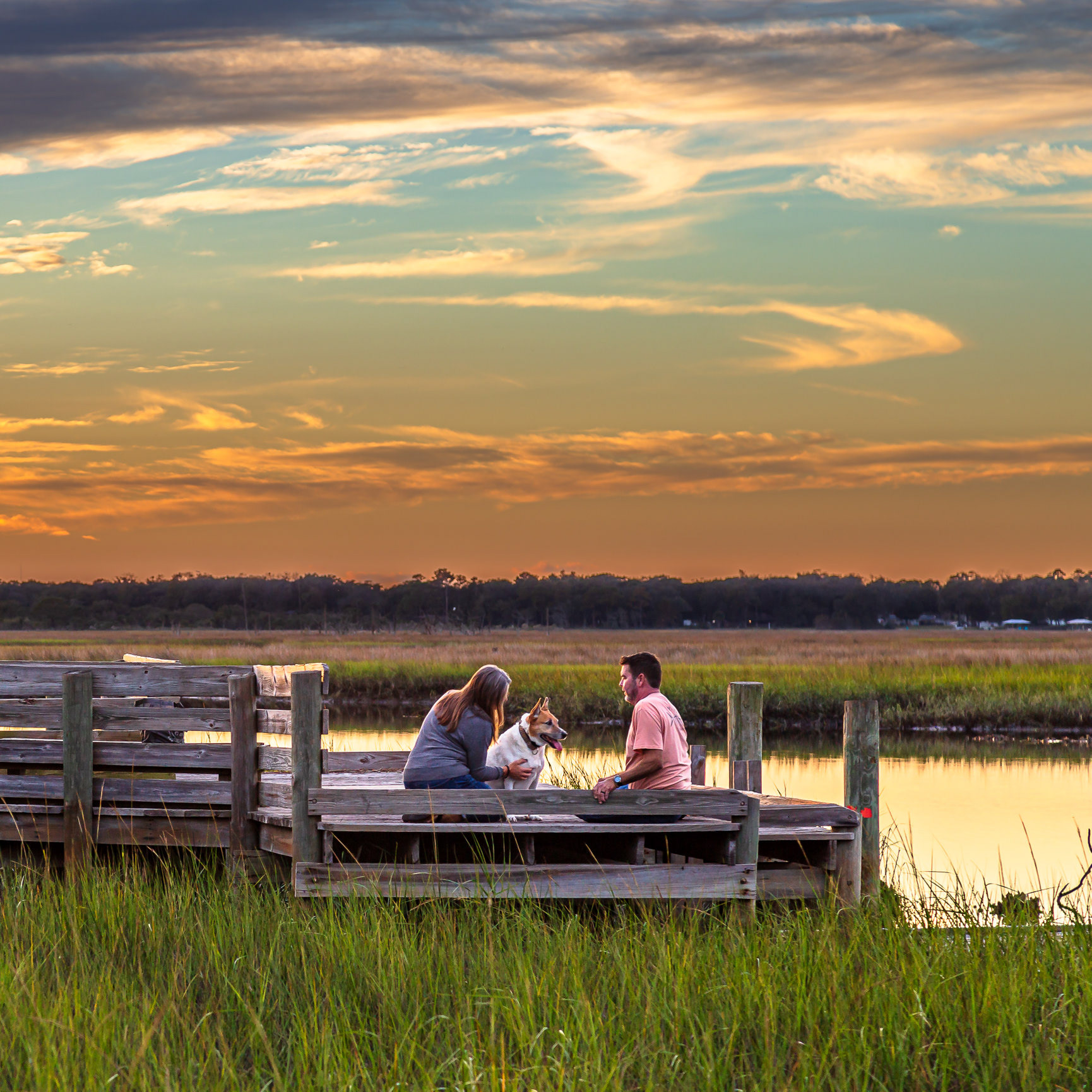 Pets At Sunset