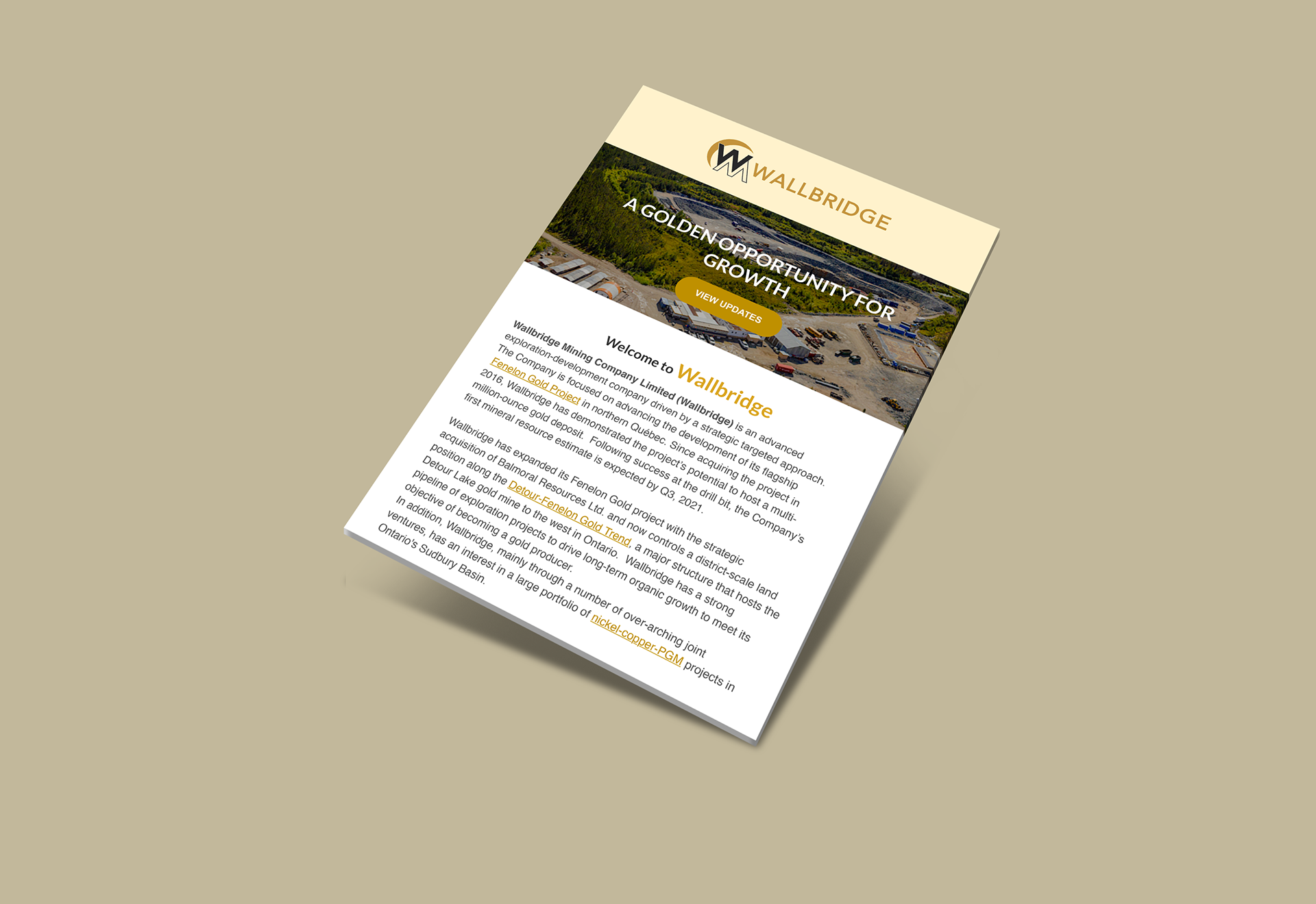 Wallbridge Mining Newsletter