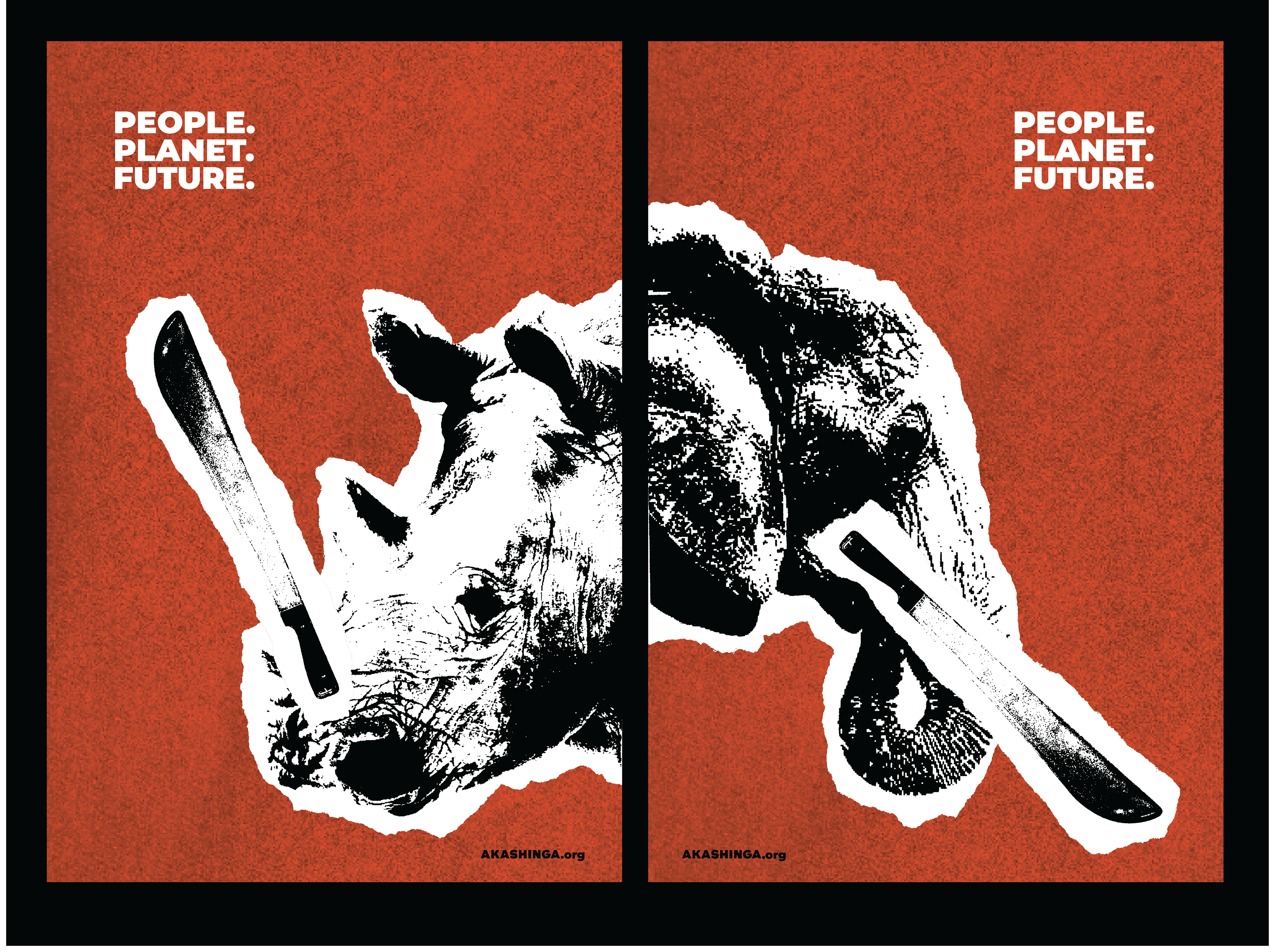 Akashinga Anti-Poaching poster set