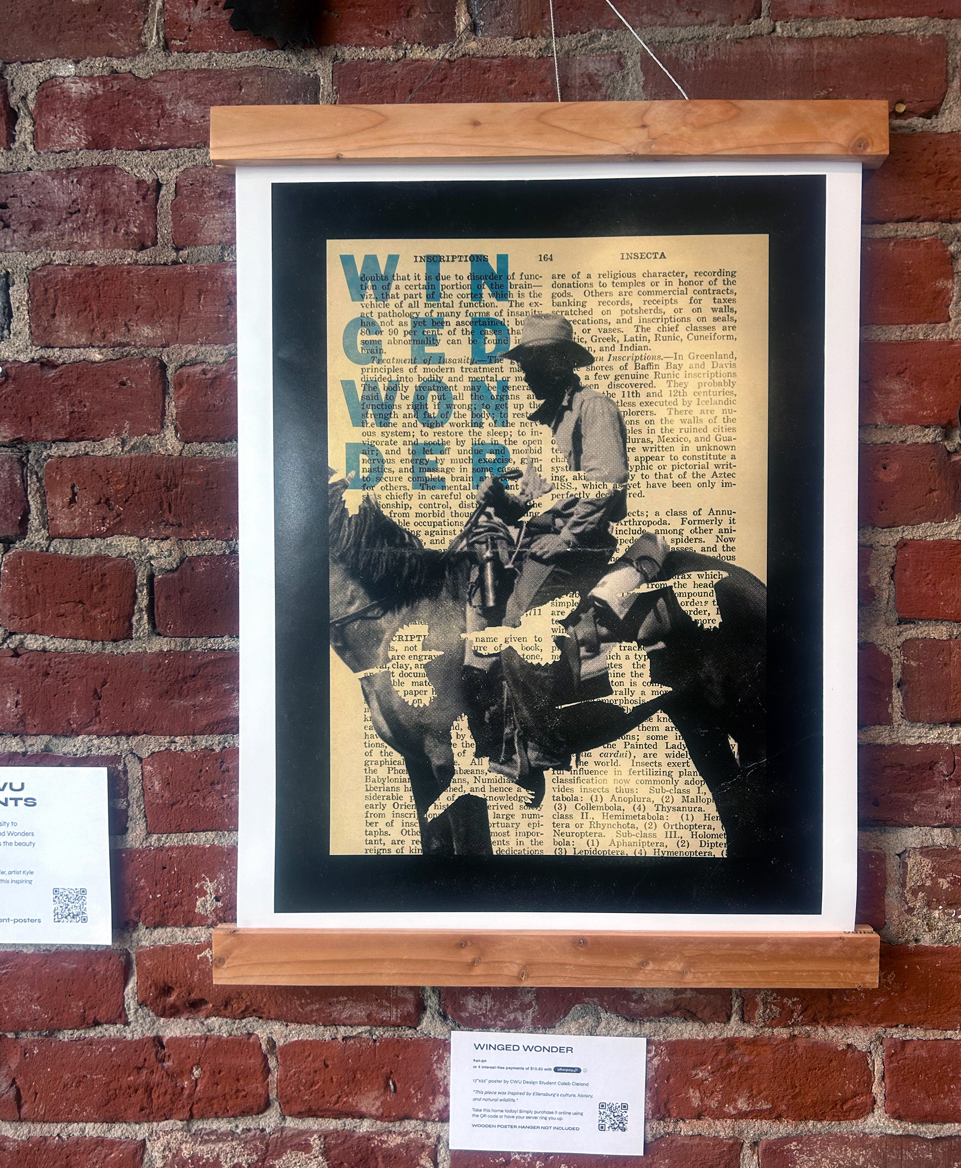 Winged Wonder- exploring Ellensburg culture and local birds