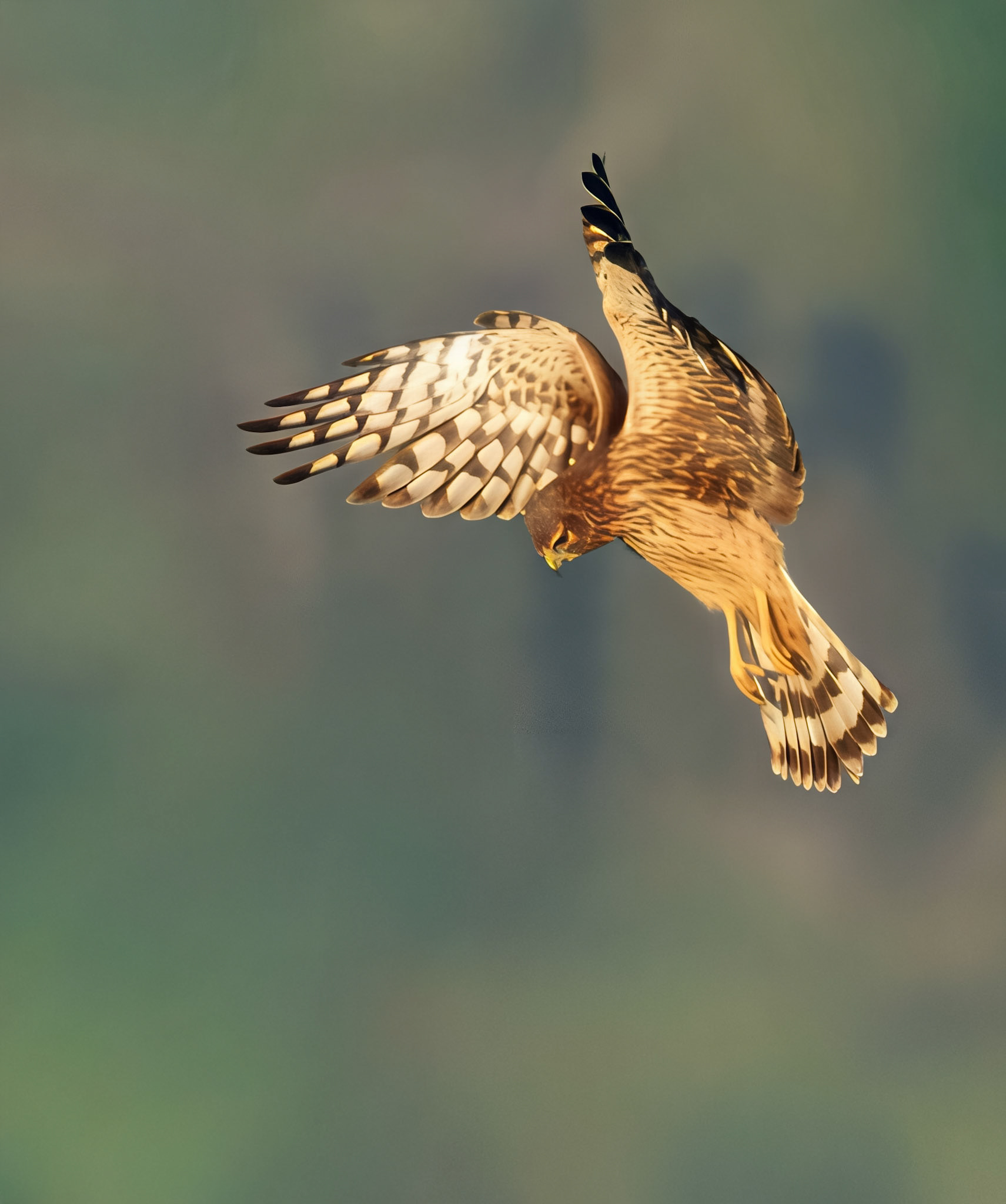 Upscaled with Gigapixel v1.0.2. 937x1121 =&gt; 1874x2242 (2x) Model: RecoveryV2, detail: 0.38 |