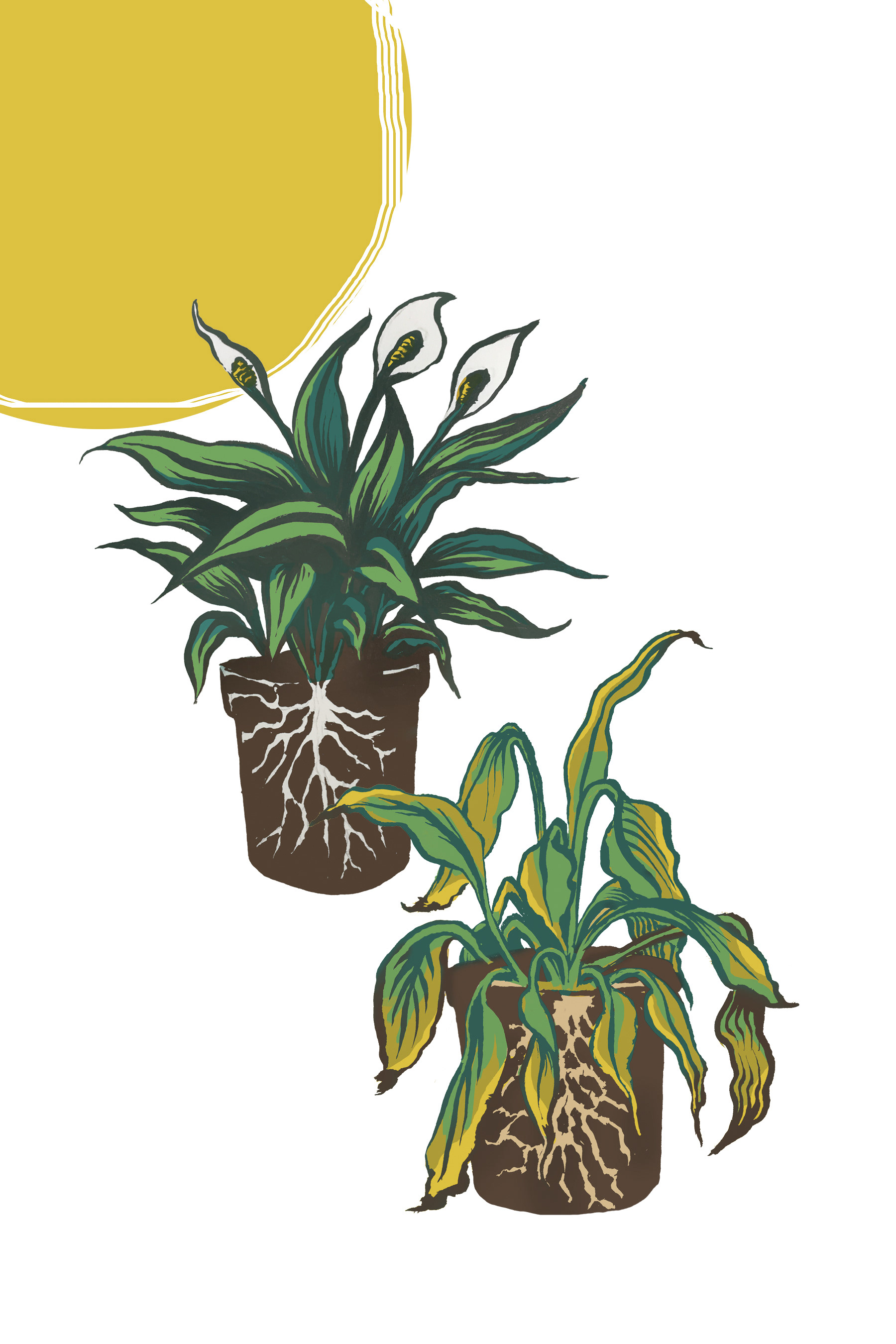 Another illustration inside 'Dig Deeper' for the chapter "Evaluate Your Roots"