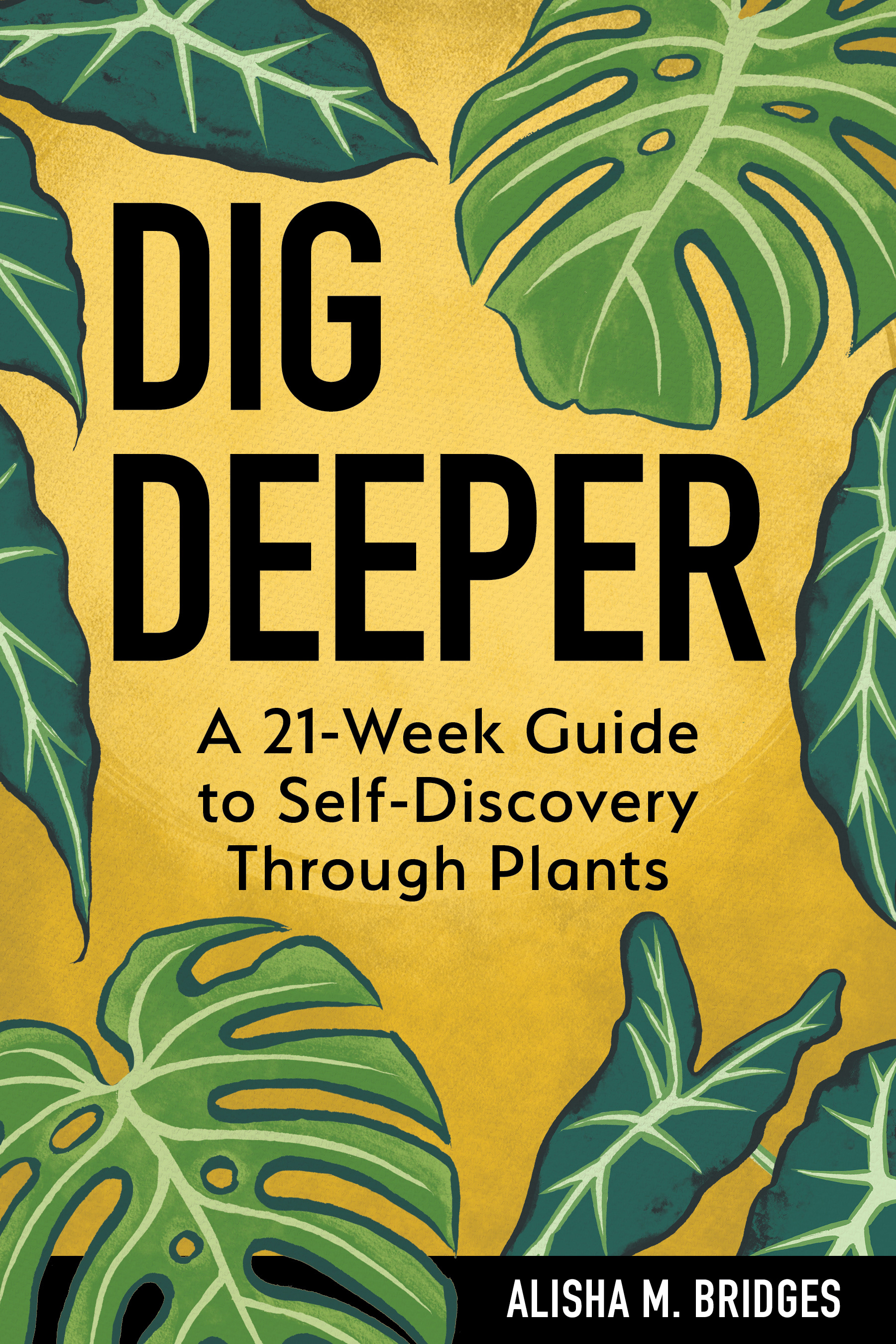 A book cover I designed and illustrated for Alisha M. Bridges. The book was published in 2024.