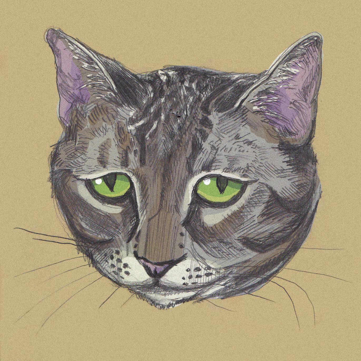 Teacup (my perturbed cat). Pencil drawing, scanned, with digital color & texture added in Photoshop