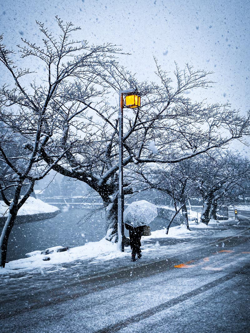 Frozen Glow: It was a cold and snowy afternoon in Japan. It felt dreadful, but the scene before me—cliché as it may be—proved that there really is a glimmer in times of gloom. | Camera settings: 1/430s; f1.8; ISO 32