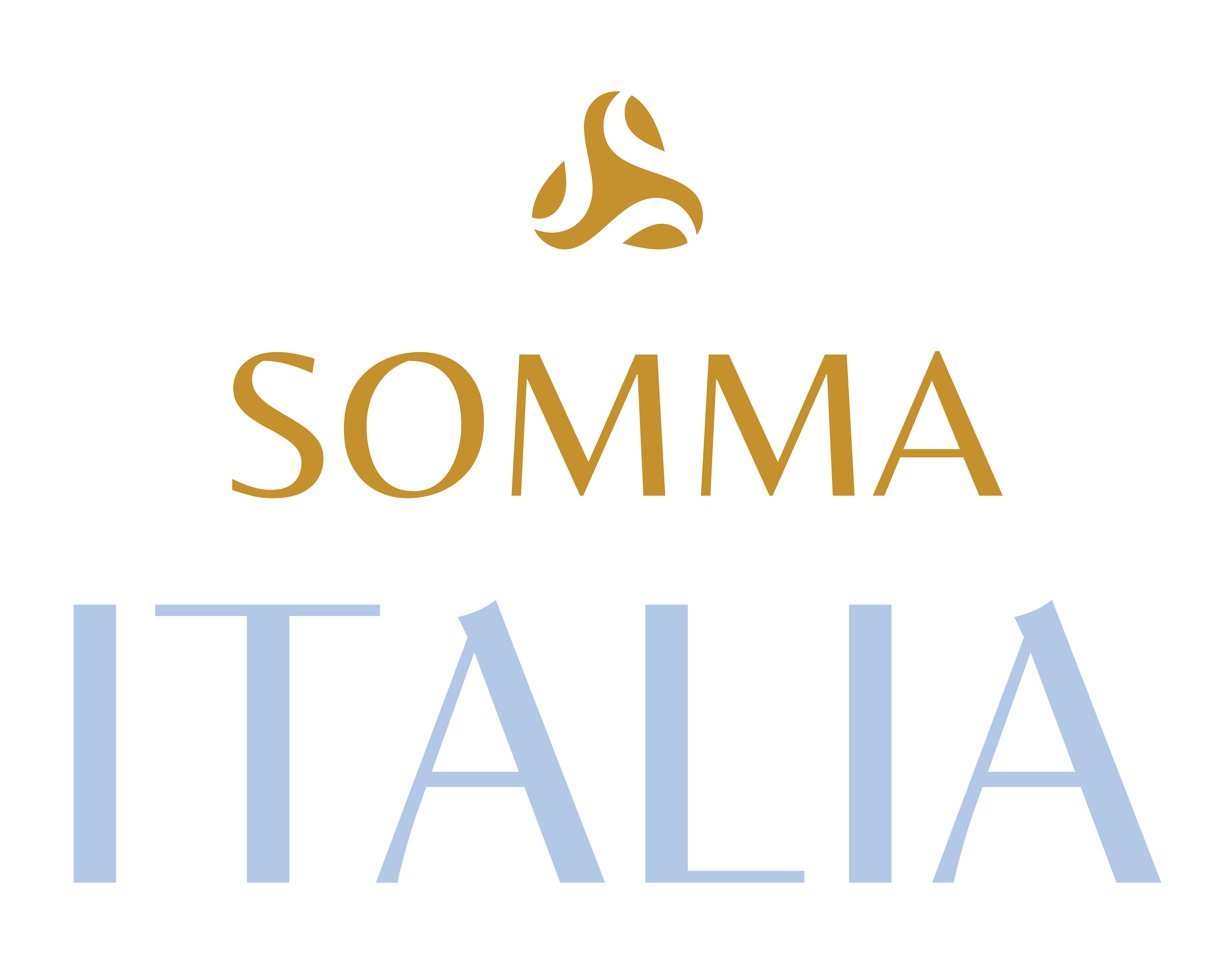 Somma Italia