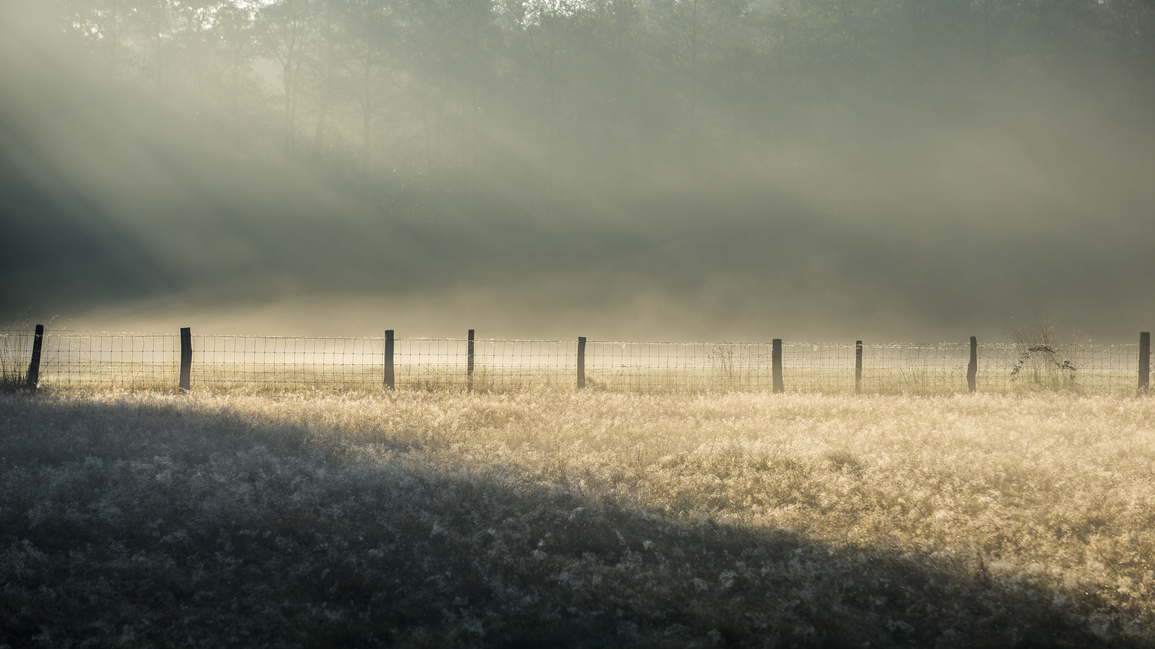 Geometric Sun and Fog