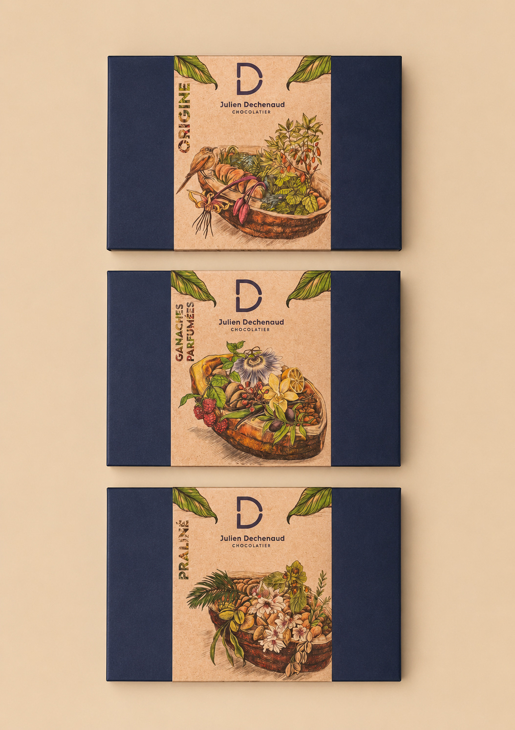Design et illustration des boites de chocolats