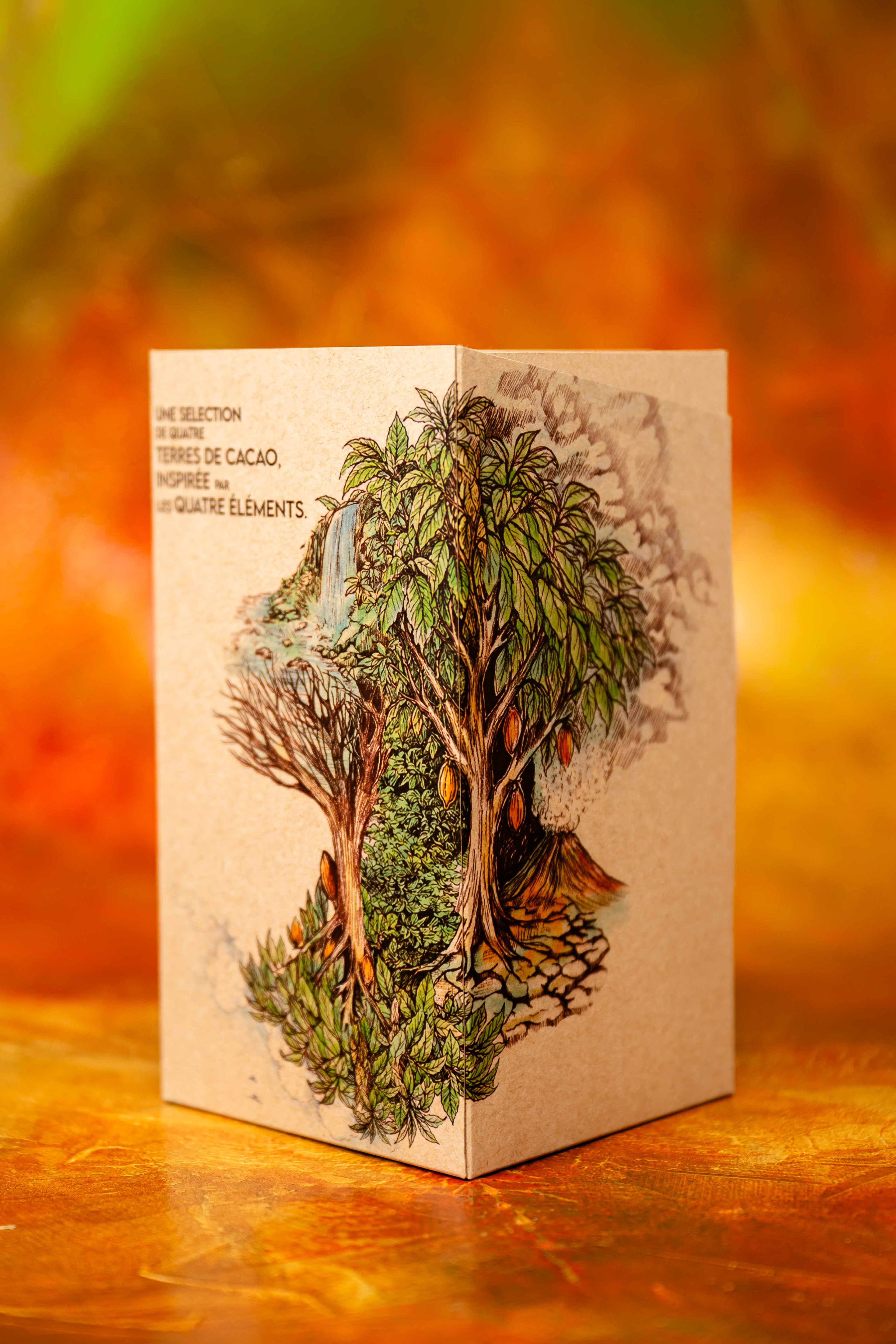 Design et illustration des coffrets tablettes