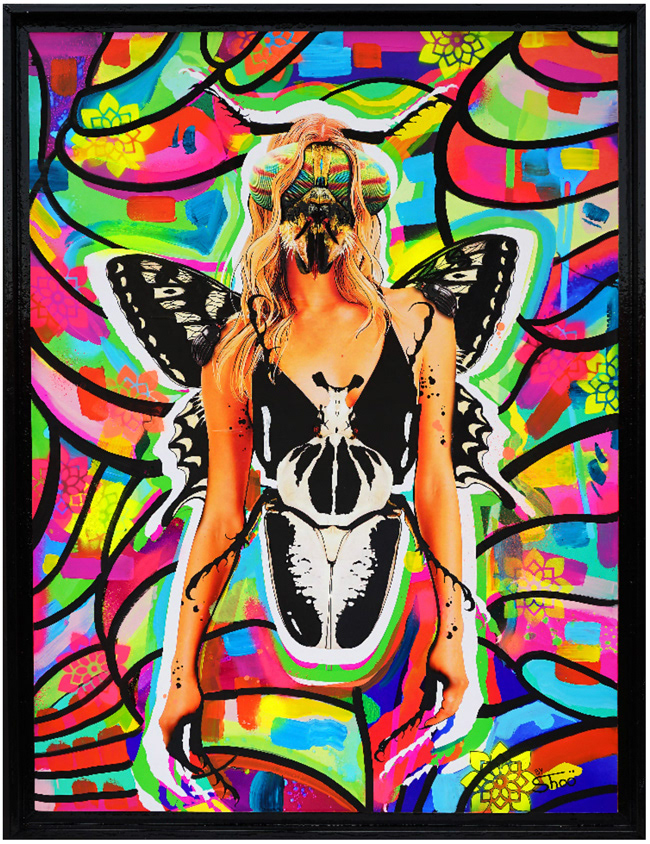 BUGERFLY - 85x65cm - 900€