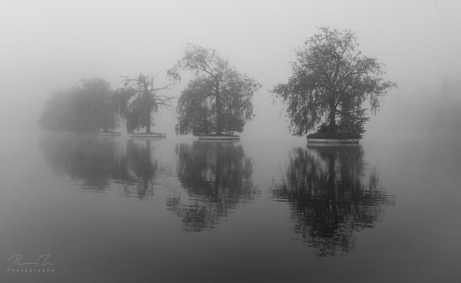 Bomen op het oude floriadeterrein in Zoetermeer