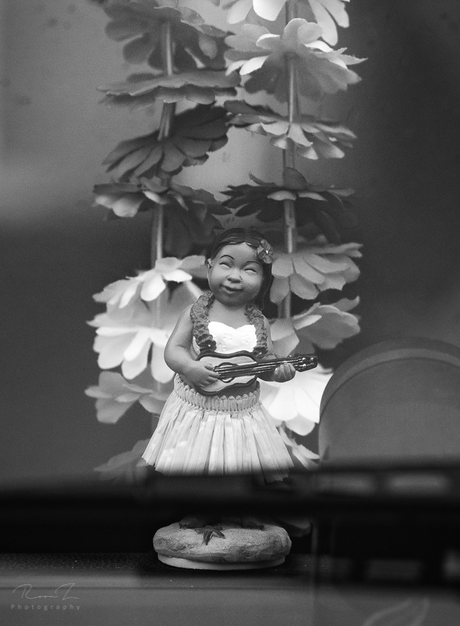 hawaii flower girl hula