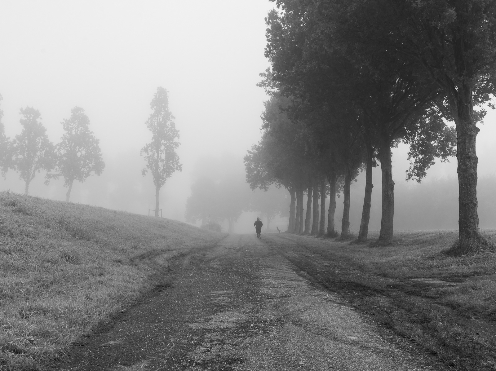Hardlopen in de ochtend