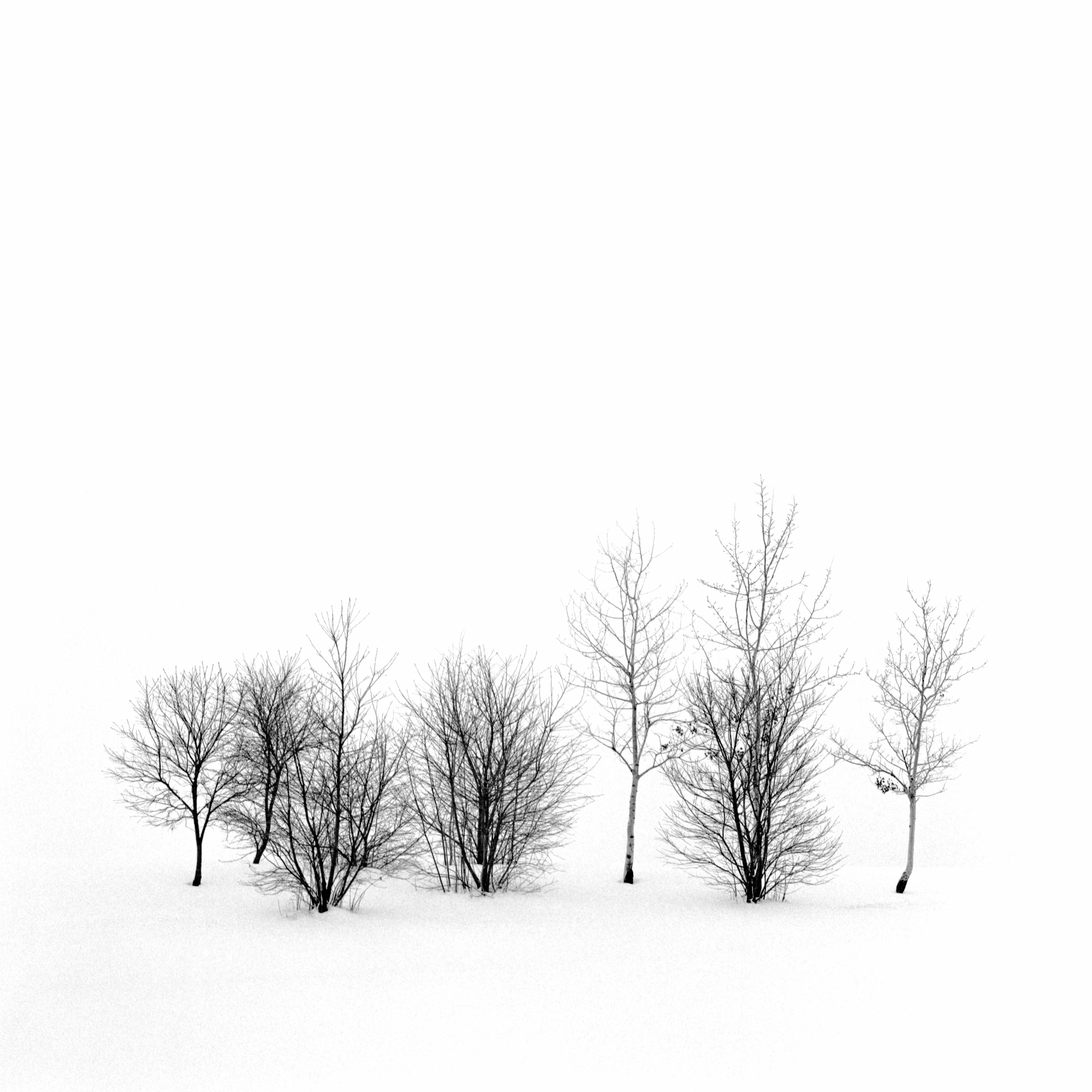 Vaughan, Ontario (2021)