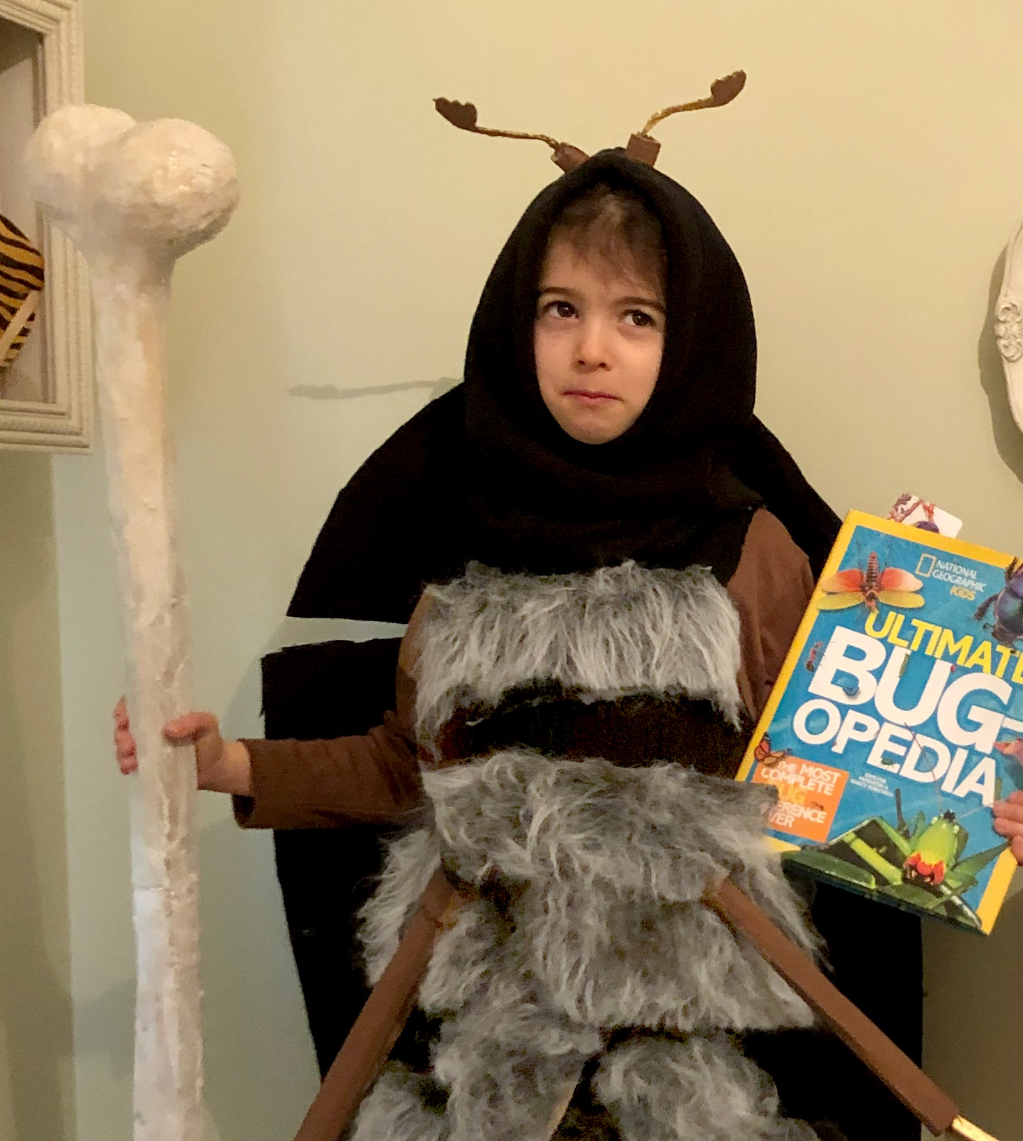 hide beetle for world book day