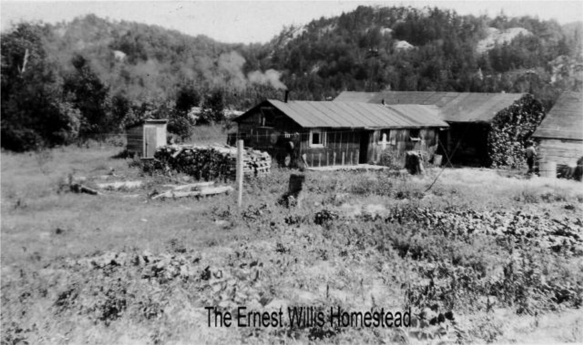 Willis Homestead circa 1915 - WILLIS Family Archives
