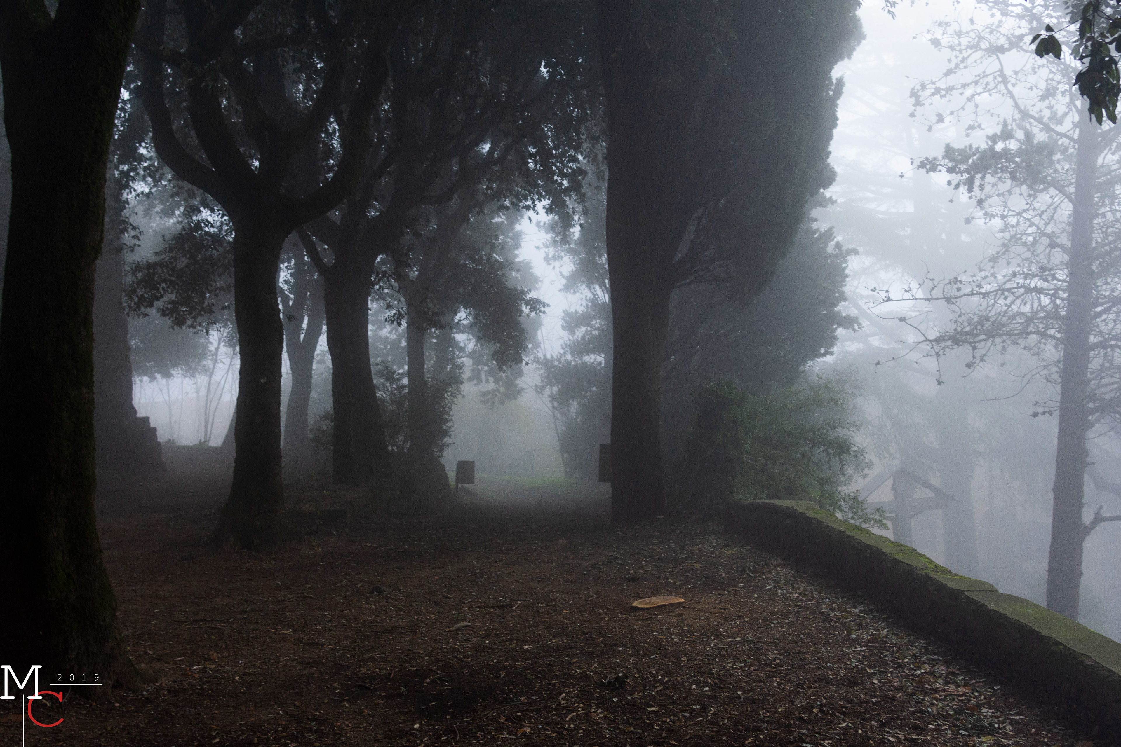 Montecatini (PT)