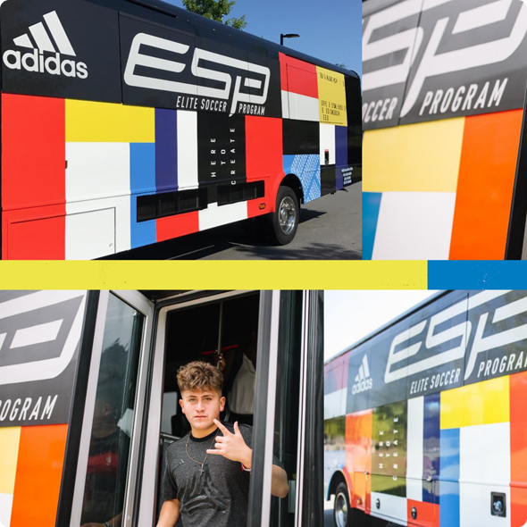 vinyl wrapped vehicle