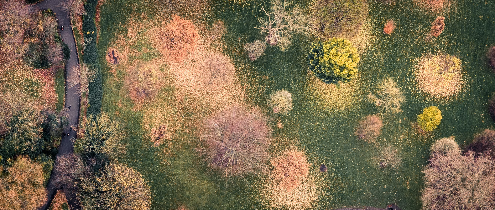DublinGardens-01 | 21"x48"