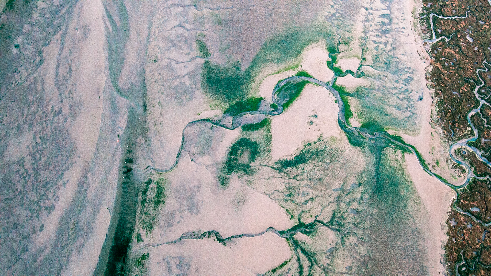 Eiran-03 | 27"x48"