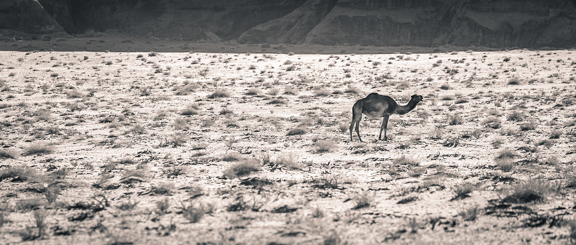 Wadirum-18 | 21"x48"