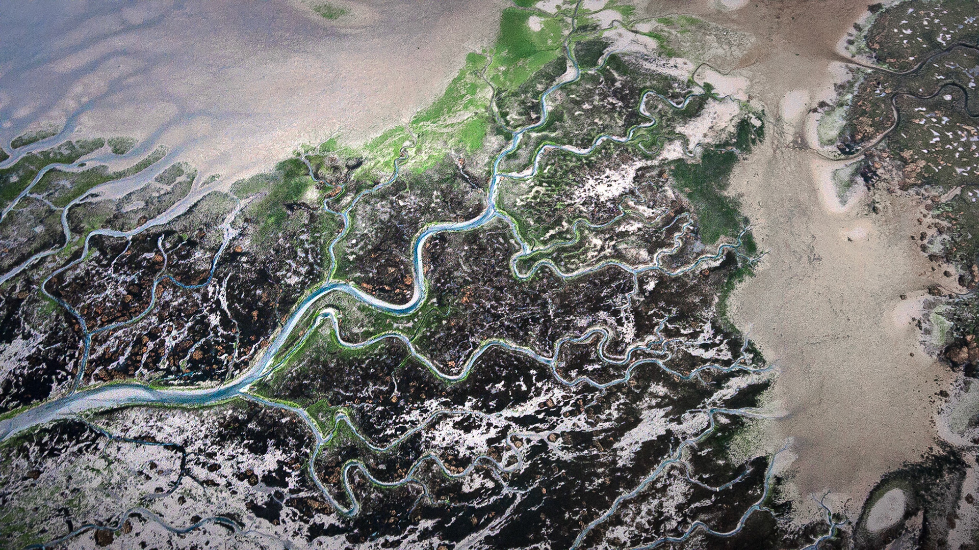 Eiran-04 | 27"x48"