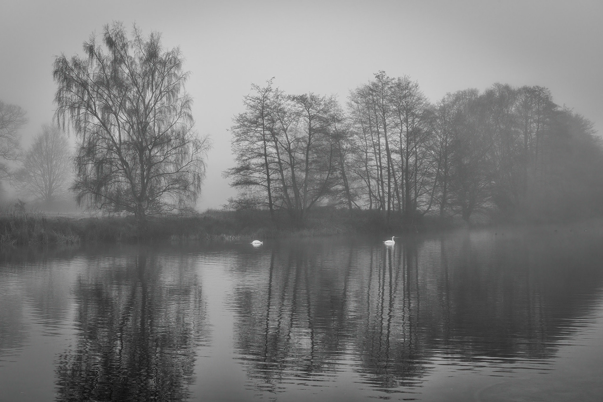 Clumber Lake
