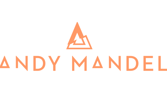 Andy Mandel