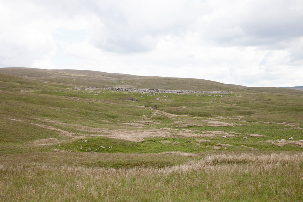 SC 37 | Yorkshire Dales