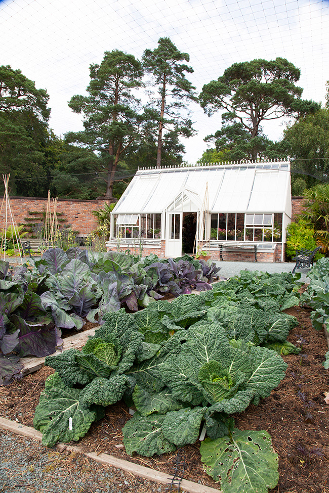 BP 034 | Kitchen Garden Lingholm Estate