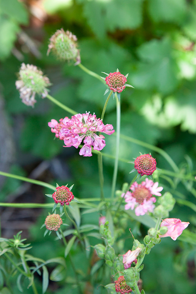 LK 045