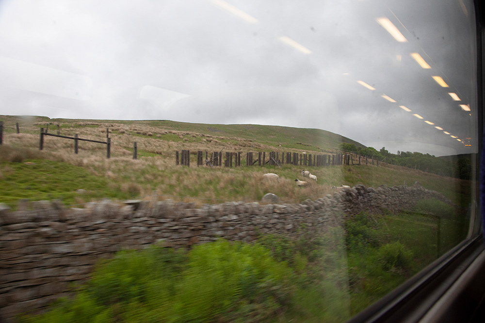 SC 24 | On the train