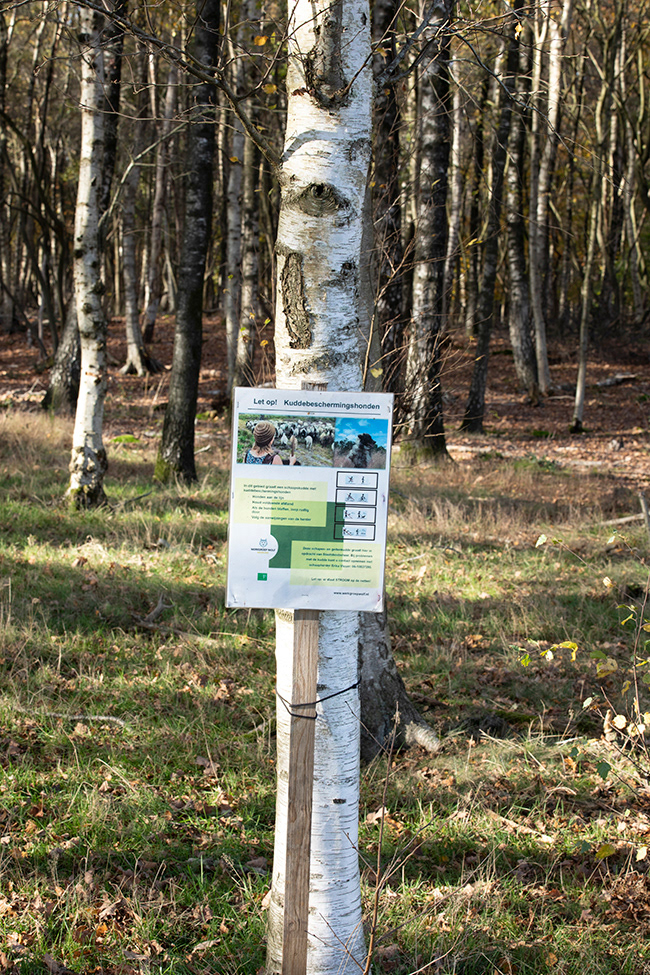 MA 042
