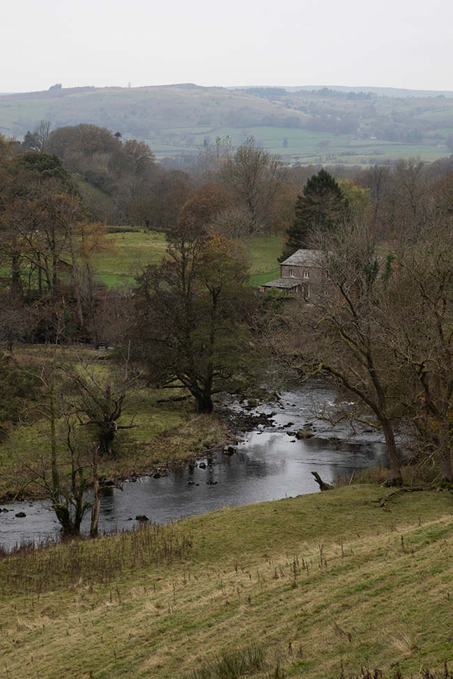 PIES 064