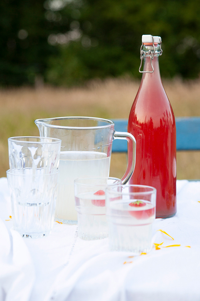MV 029 | rhubarb corial