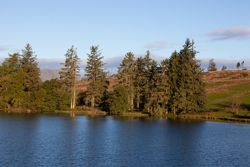 #3487 Moss Eccles Tarn