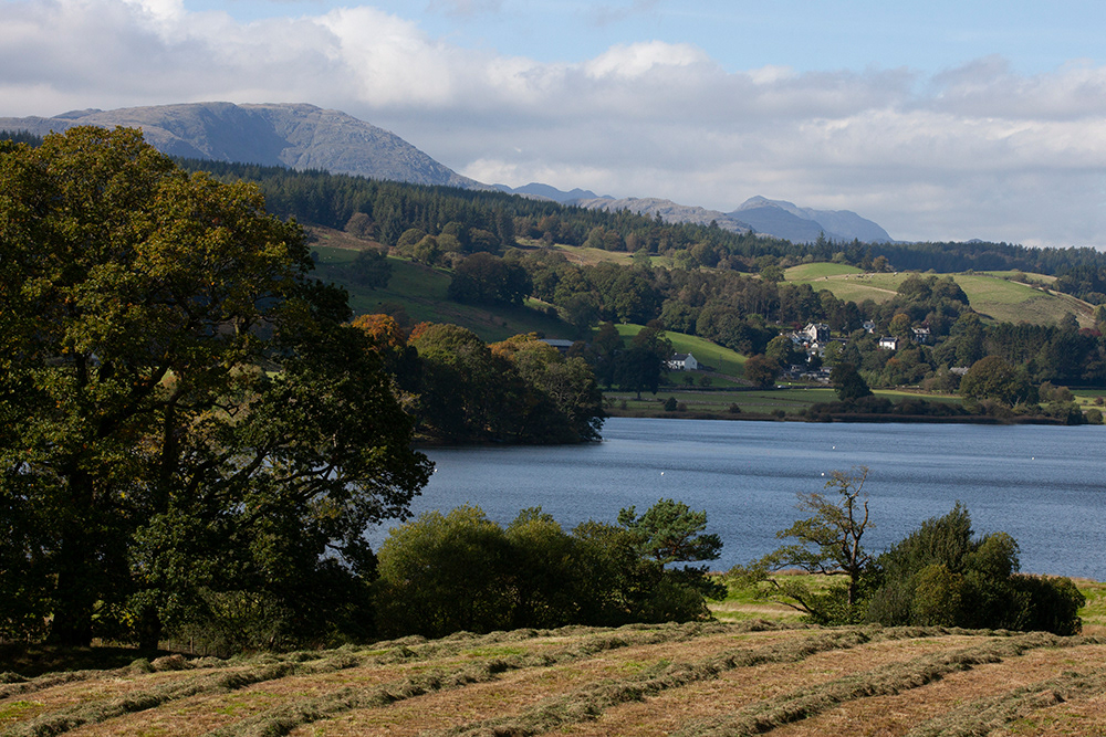 #2462 Esthwaite Water