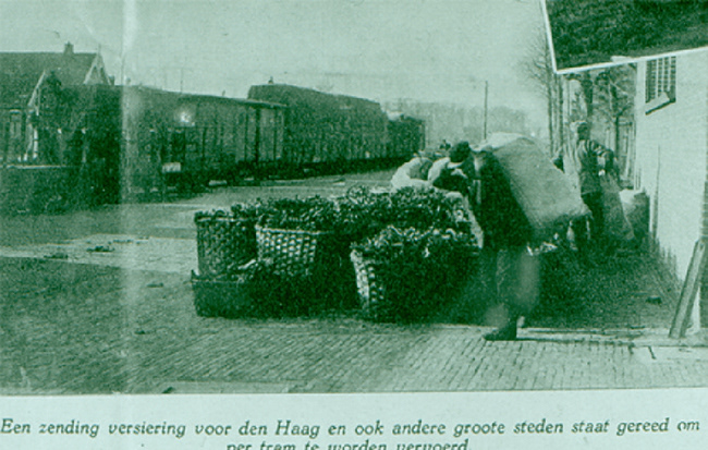 KG 073