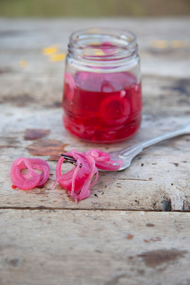MV 014 | pickled onion