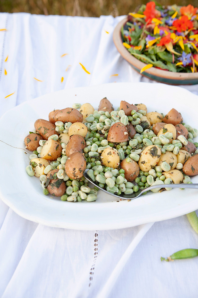 MV 027 | potato bean salad