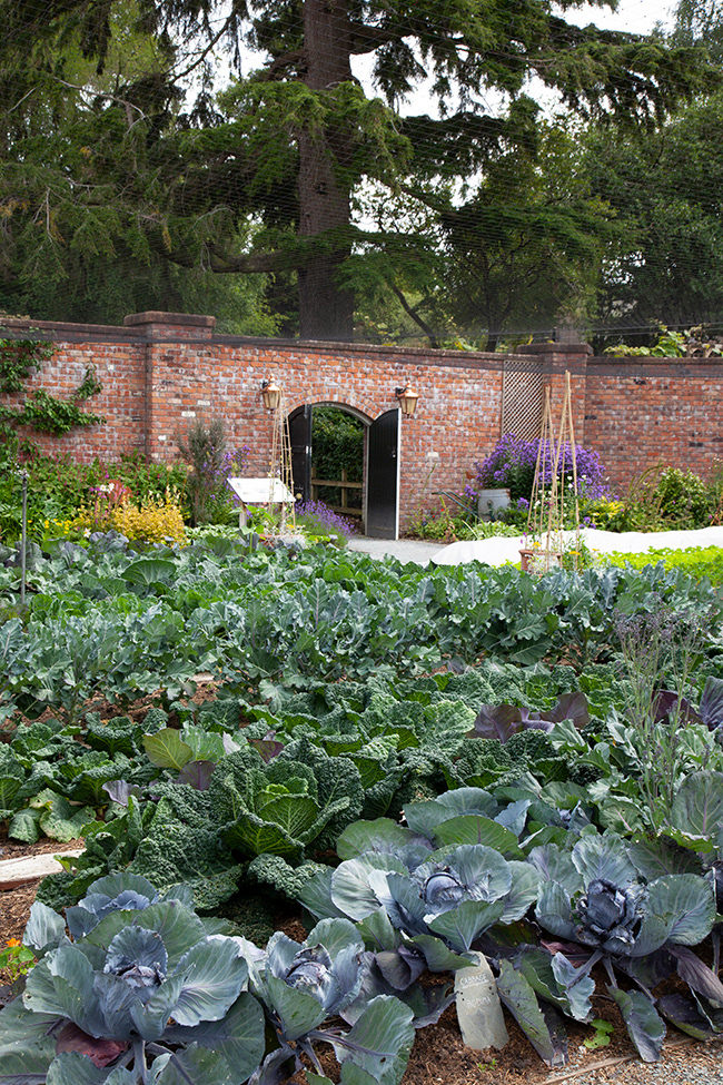 BP 037 | Kitchen Garden Lingholm Estate
